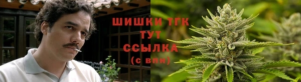 Альфа ПВП Елабуга