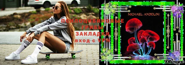 кокаин премиум Ельня