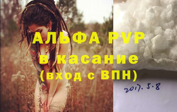 PSILOCYBIN Заводоуковск