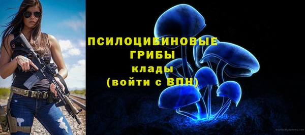 амф Заволжск