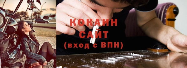 PSILOCYBIN Заводоуковск
